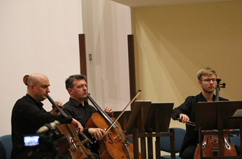 International Cello Festival